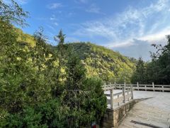 -延安杨家岭革命旧址