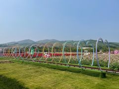 -盈香心动乐园