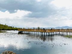 -洱海月湿地公园