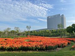 -春花秋色城市公园