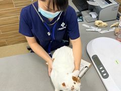 -爱侣宠医·鹦鹉专科·小型哺乳类·异宠专科(灵石路店)