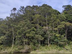 -海南热带雨林国家公园吊罗山景区