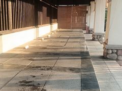 -河源万绿湖美思威尔顿酒店