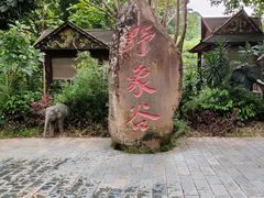 -野象谷景区