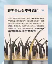 -木北造型