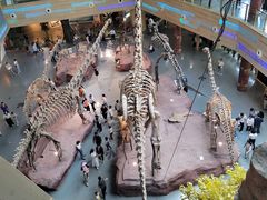 -安徽省地质博物馆