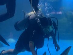 -烟台海昌鲸鲨海洋公园