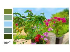 -莆田湄洲妈祖祖庙