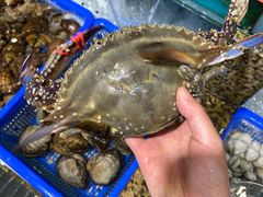 -海味当家·蒸锅海鲜(星海公园店)