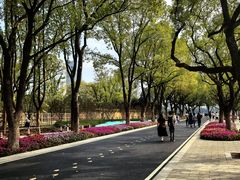 -武汉动物园