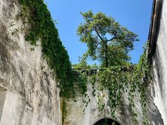 -绍兴鲁迅故里·沈园景区