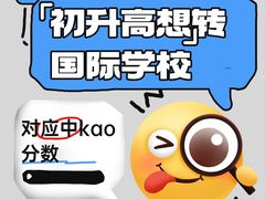 -菠萝国际教育专注Alevel·IGCSE·IB·AP·托福雅思培训辅导(静安校区)