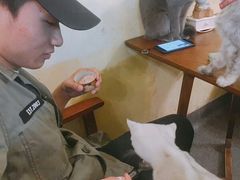 -猫色咖啡·猫咖