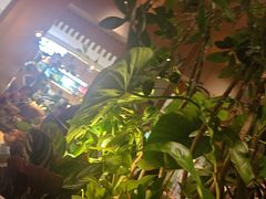-gaga(深圳福田星河COCO Park店)