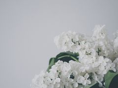 -碧桂园恒温游泳馆