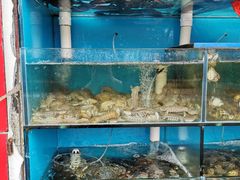 水产区-名超海鲜烧烤大排档
