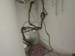 -新盈光·旗舰店(海曙苍松路店)