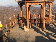 -大岭沟猕猴桃谷风景区