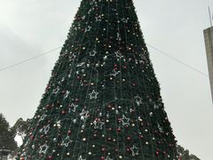 -上关雪東北菜(中房金谊店)