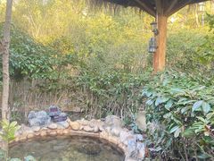 -深业半汤御泉庄温泉
