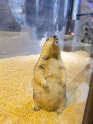 -酷嗒动物文化乐园(cutezoo西溪乐天城店)