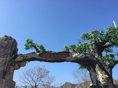 -康陵正德春饼宴26号