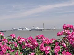 -上海滨江森林公园