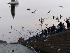 -栈桥景区