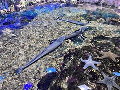-杭州长乔极地海洋公园