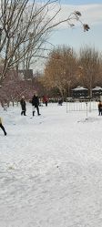 -优沃得自然教育农场·冰雪乐园·生日会·研学