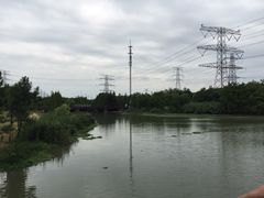 -九里河湿地公园