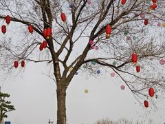 -河东池盐文化博览园