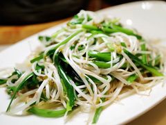 -陈麻婆豆腐(旗舰店)