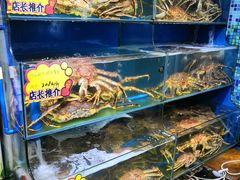 水产区-蚝专家(北滘店)