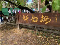 -东平国家森林公园