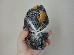 乌米粢饭团-凌阿姨·粢饭团(清扬路店)