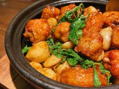 九层塔砂锅鸡-CHIC1699远洋私厨
