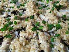 -泮金大塘(北二七路店)