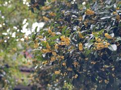 -南山风景名胜区