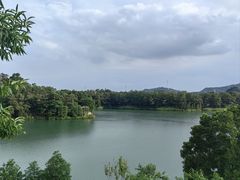 -红花湖景区