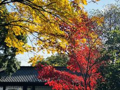 -杭州半山国家森林公园