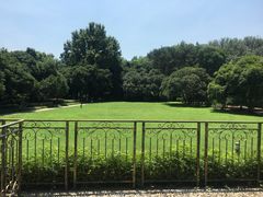 -上海市保健医疗中心(华东疗养院)