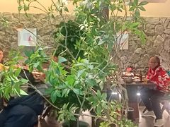 -杏花村水席楼·洛阳水席(老城十字街店)