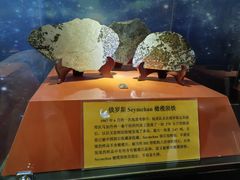 -紫金山天文台