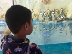 -太平洋海底世界