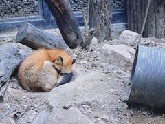 -北京动物园