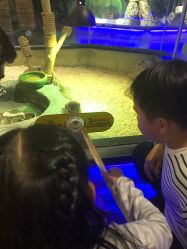 -未来动物城主题公园(正弘城店)