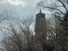 -高尔山公园