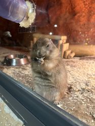 -酷嗒动物文化乐园(cutezoo西溪乐天城店)