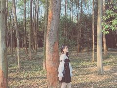 -东莞植物园